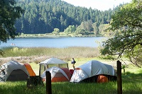 Meadow's tent city begins to take shape at family camp.