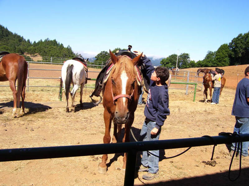 Riders and horses prepare for a trail ride at the Risin' W Corral barn.