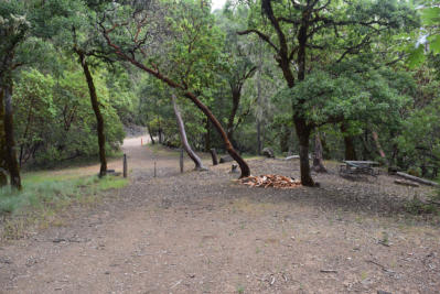 Off-season image of Sunrise Ridge campsite entrance and fire ring.